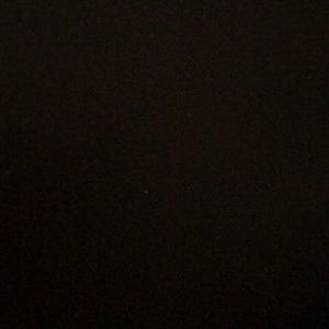 Meet your Posher, Sylvia